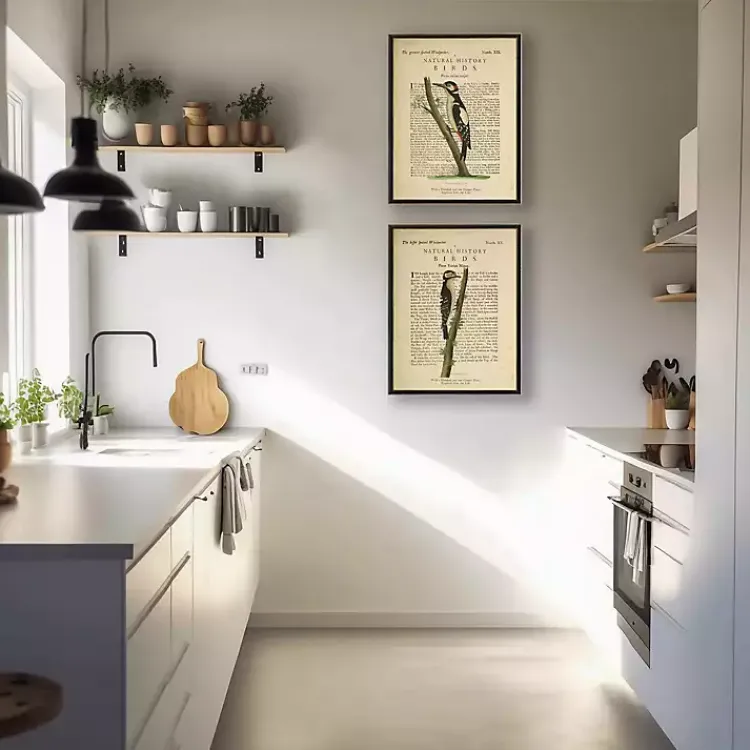 Framed Art-Kirklands Home Birds Diagram II Framed Art Prints, Set of 2 Ivory