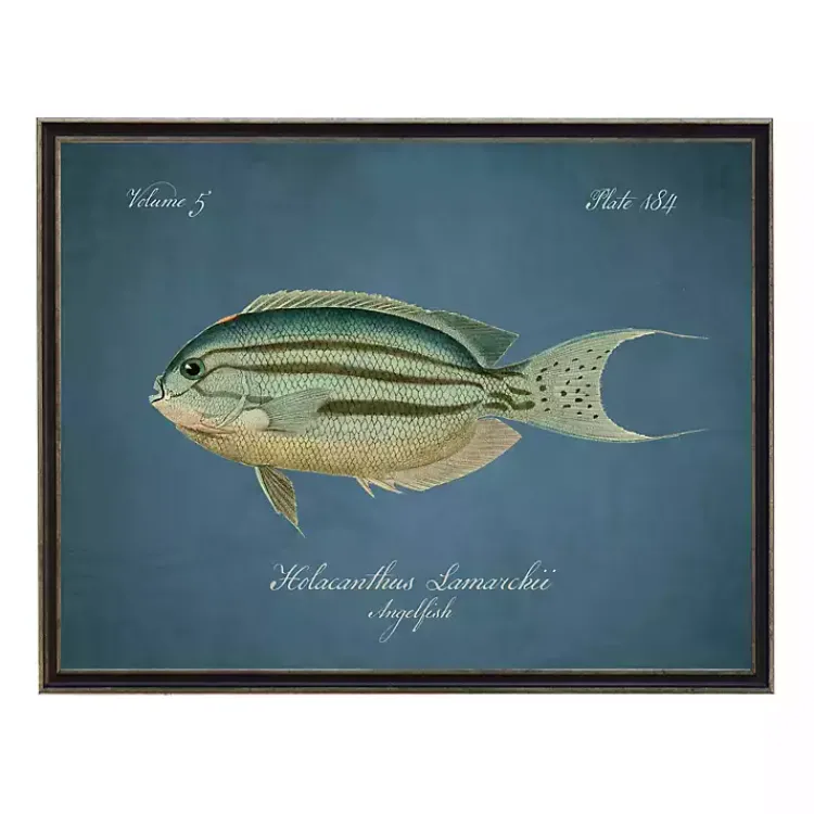 Framed Art-Kirklands Home Angelfish Framed Wall Art Blue