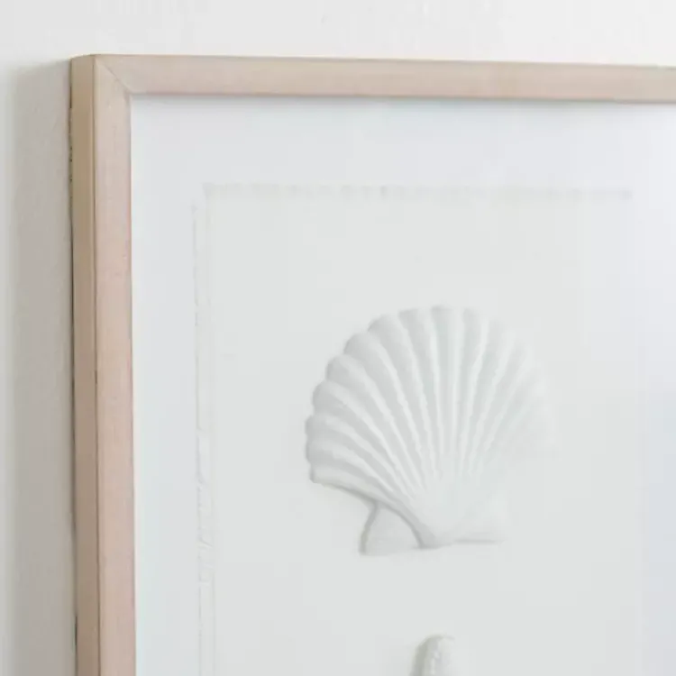 Wall Plaques-Kirklands Home Shells Shadowbox Wall Plaque White
