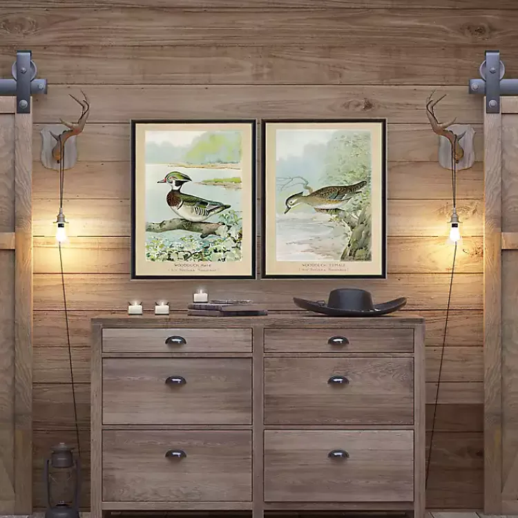 Framed Art-Kirklands Home Wood Duck Duo Framed Art Prints, Set of 2
