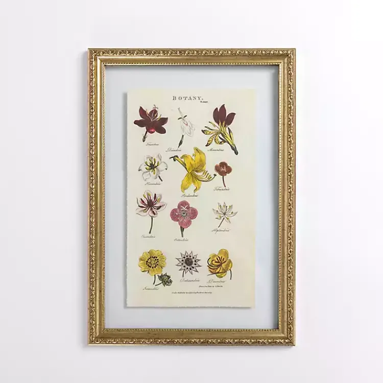 Framed Art-Kirklands Home Botany Gold Framed Art Print
