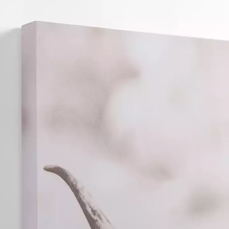 Canvas Art-Kirklands Home Wild Highland Cow Canvas Art Print