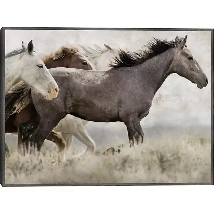 Canvas Art-Kirklands Home Thunder Ridge Distressed Framed Canvas Art Print Gray