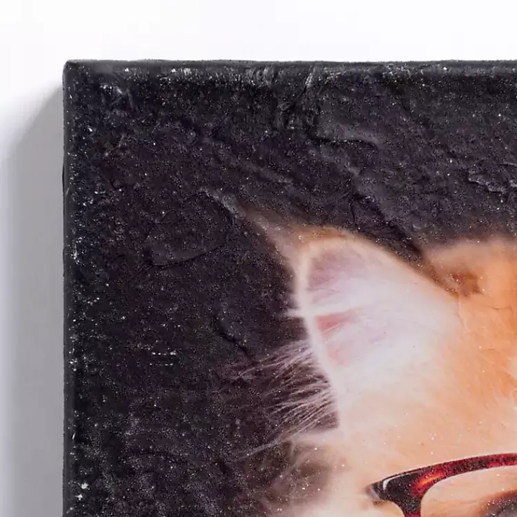 Canvas Art-Kirklands Home Pippa the Cat Canvas Art Print