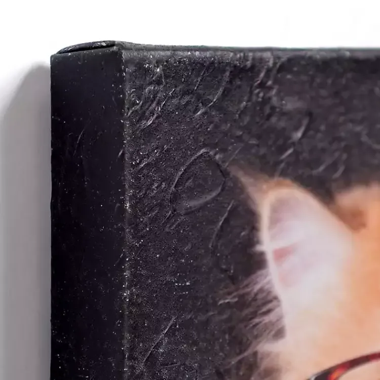 Canvas Art-Kirklands Home Pippa the Cat Canvas Art Print