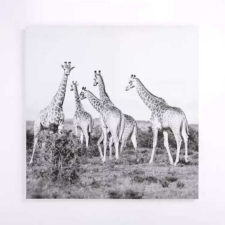 Canvas Art-Kirklands Home Giraffes in the Wild Canvas Art Print