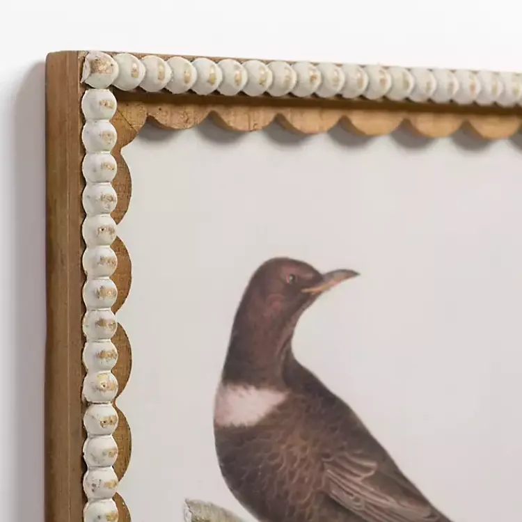Framed Art-Kirklands Home Brown Birds Scalloped Framed Art Print