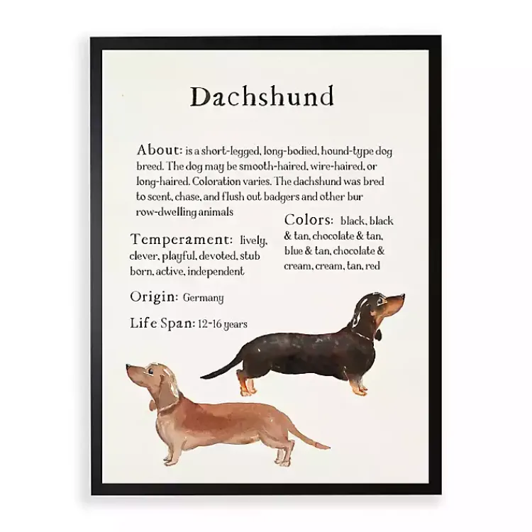 Wall Quotes & Signs-Kirklands Home Dachshund Facts Framed Wall Plaque