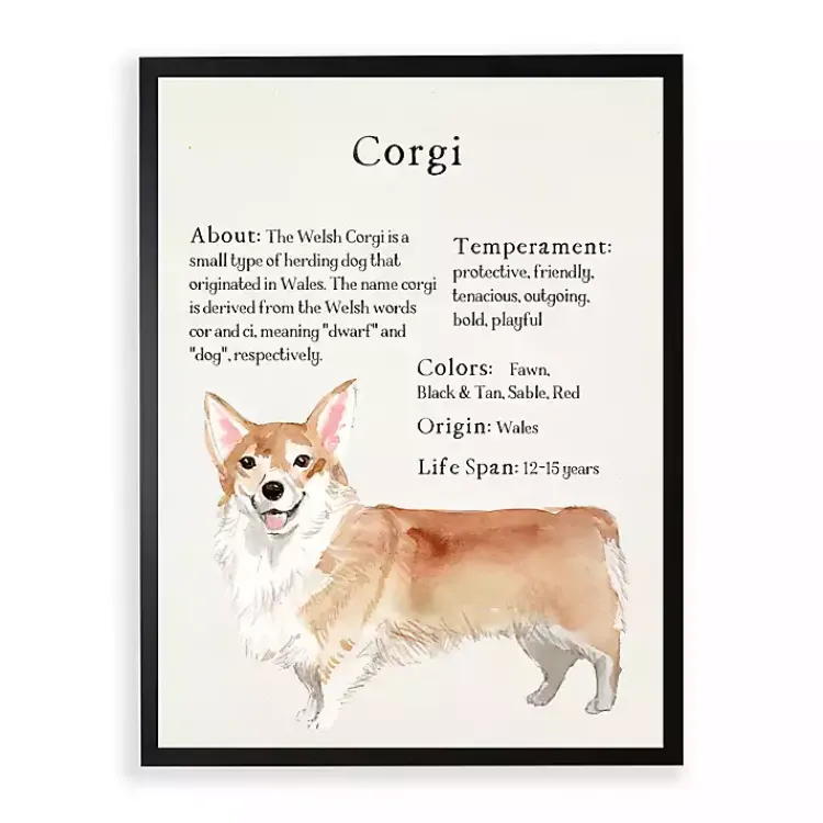 Wall Quotes & Signs-Kirklands Home Corgi Facts Framed Wall Plaque White