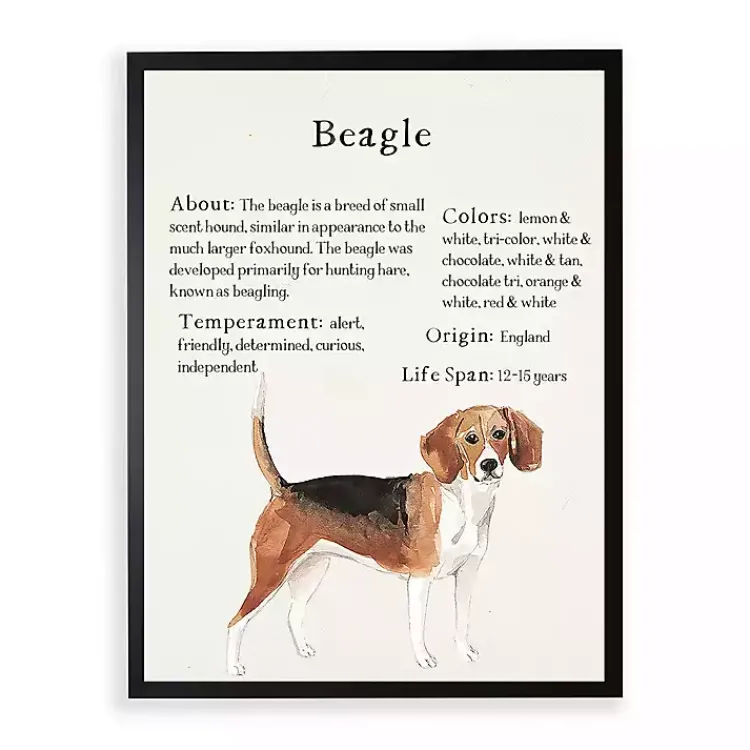 Wall Quotes & Signs-Kirklands Home Beagle Facts Framed Wall Plaque