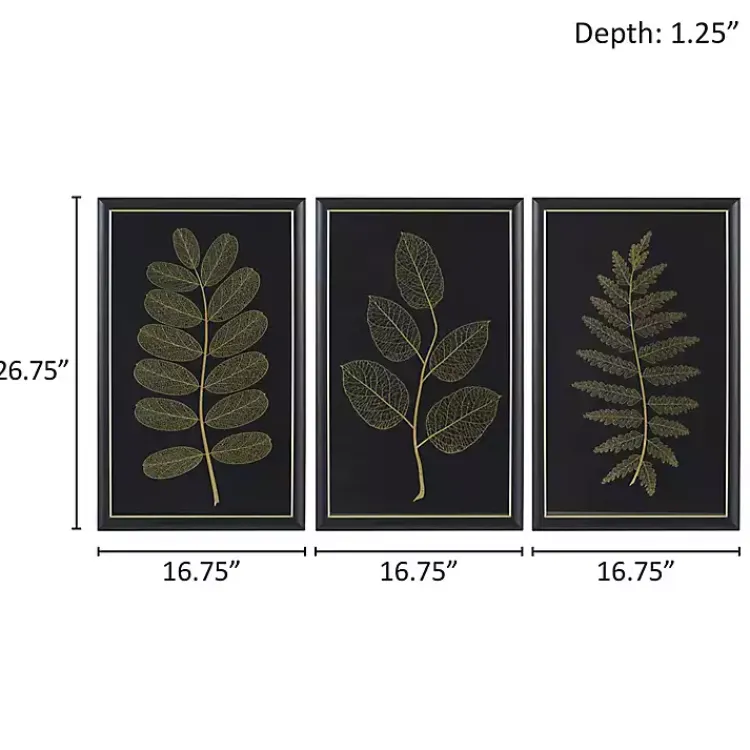 Framed Art-Kirklands Home Martha Stewart Botanical Framed Prints, Set of 3