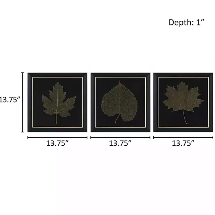 Framed Art-Kirklands Home Martha Stewart Leaf Framed Prints, Set of 3
