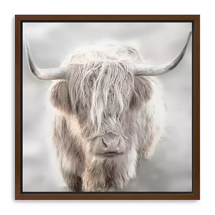 Canvas Art-Kirklands Home Solo Highland Cow Framed Canvas Art Print, 40x40 Gray
