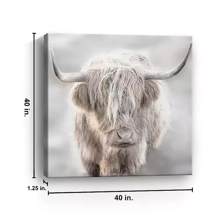 Canvas Art-Kirklands Home Solo Highland Cow Canvas Art Print, 40x40 Gray