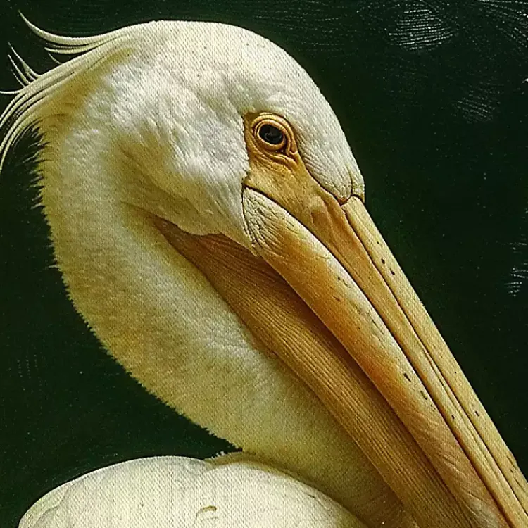 Canvas Art-Kirklands Home Royal Pelican Framed Canvas Art Print