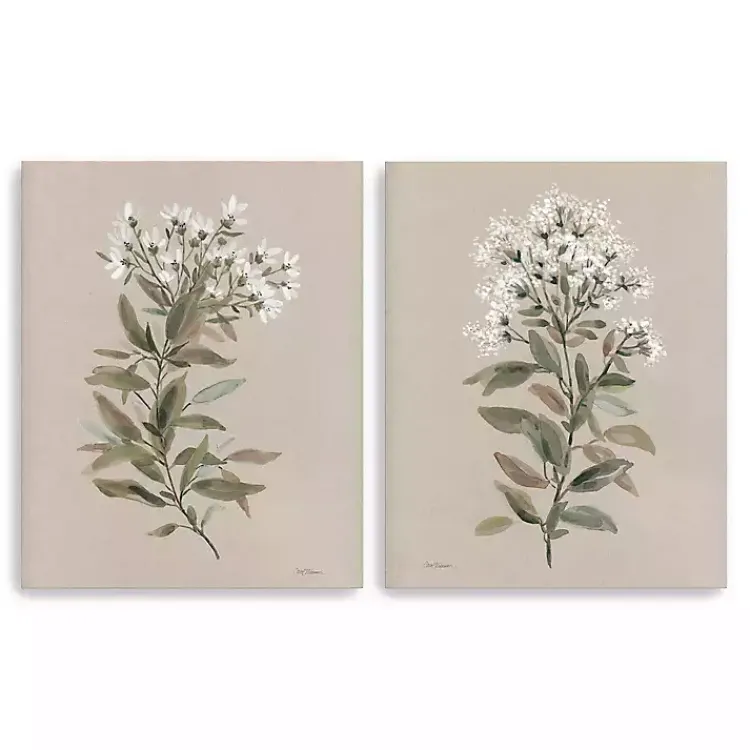Canvas Art-Kirklands Home White Floral Stem Canvas Art Prints, Set of 2