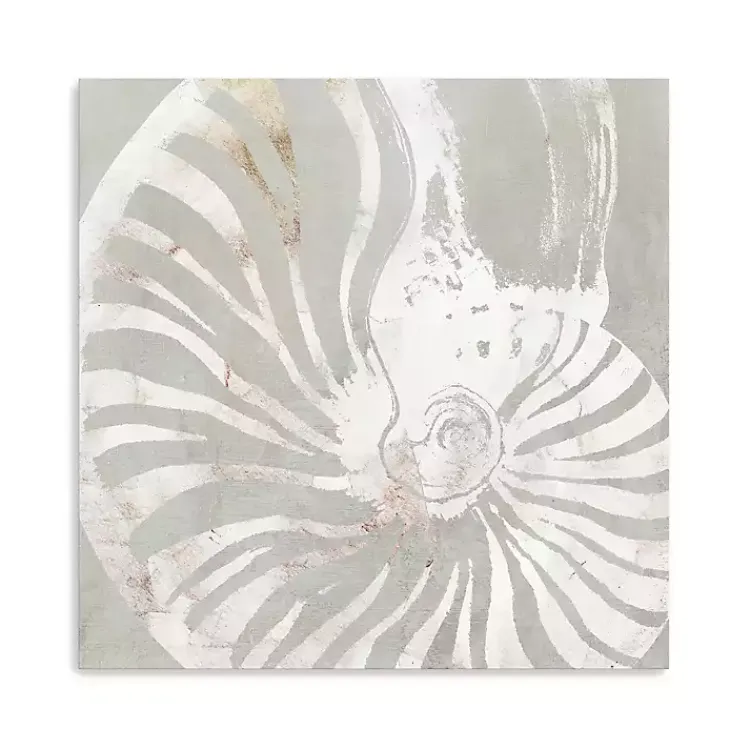 Canvas Art-Kirklands Home Seashell Close Up Canvas Art Print