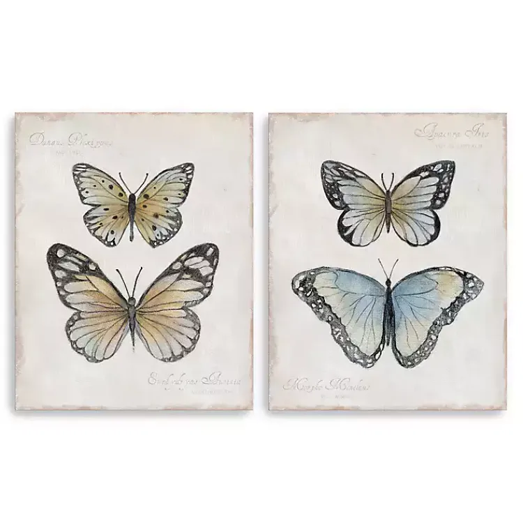 Canvas Art-Kirklands Home Vintage Butterflies Canvas Art Prints, Set of 2