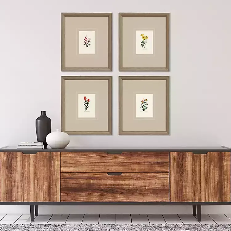 Framed Art-Kirklands Home Western Wildflower Framed Art Prints, Set of
