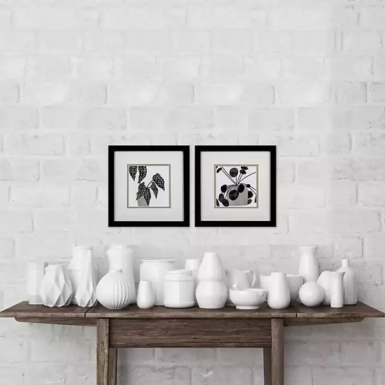 Framed Art-Kirklands Home Black Plantling II Framed Art Prints, Set of 2