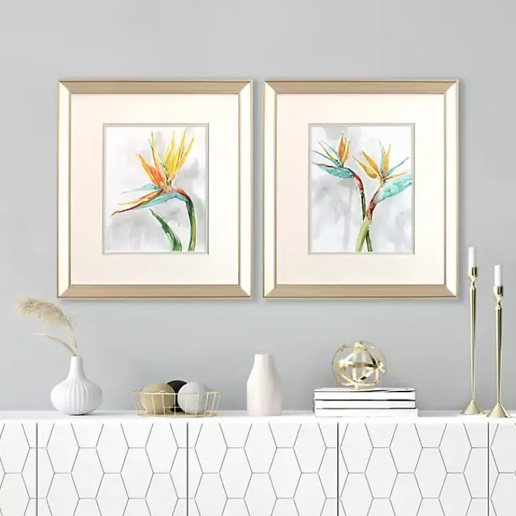 Framed Art-Kirklands Home Bird of Paradise Framed Art Prints, Set of 2
