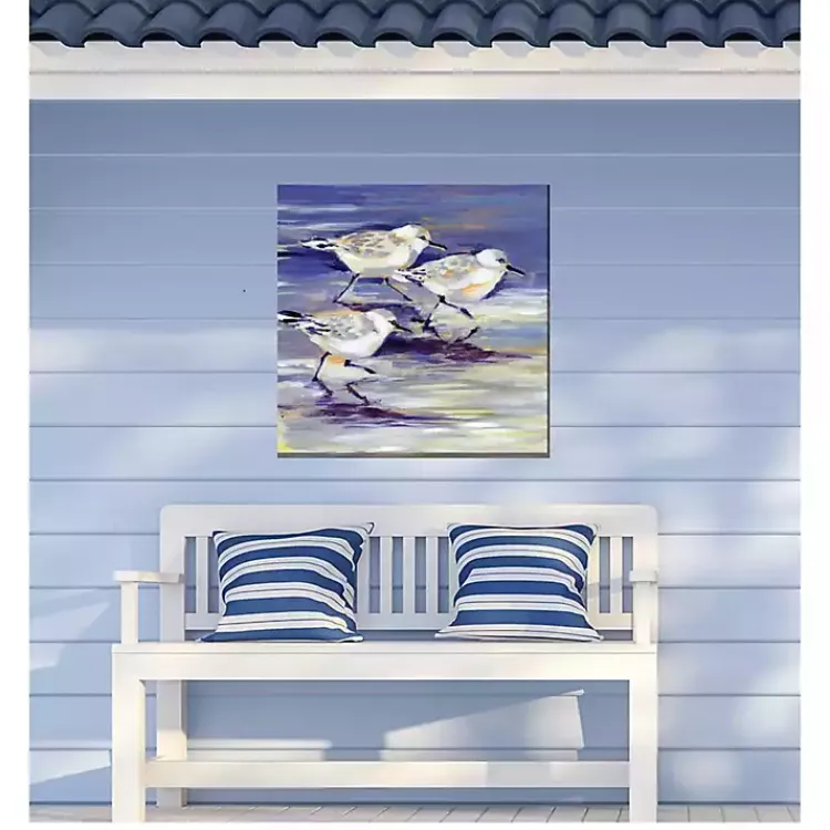 Outdoor Wall Decor-Kirklands Home Sandpipers Outdoor Canvas Art Print