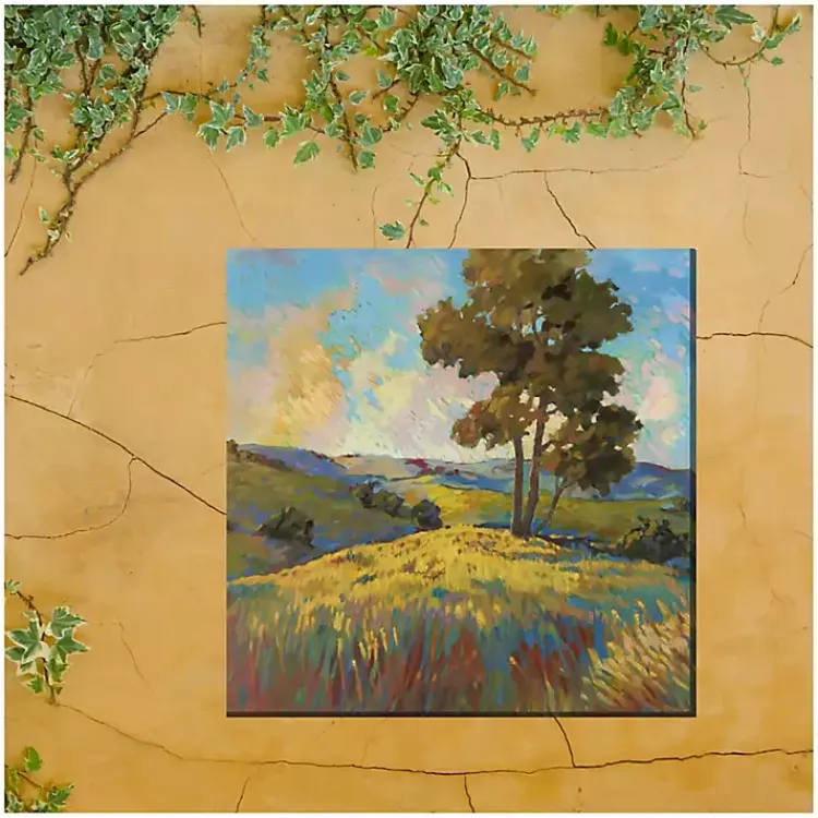 Outdoor Wall Decor-Kirklands Home High Ground Outdoor Canvas Art Print