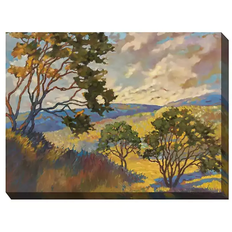 Outdoor Wall Decor-Kirklands Home No Boundaries Outdoor Canvas Art Print Multi