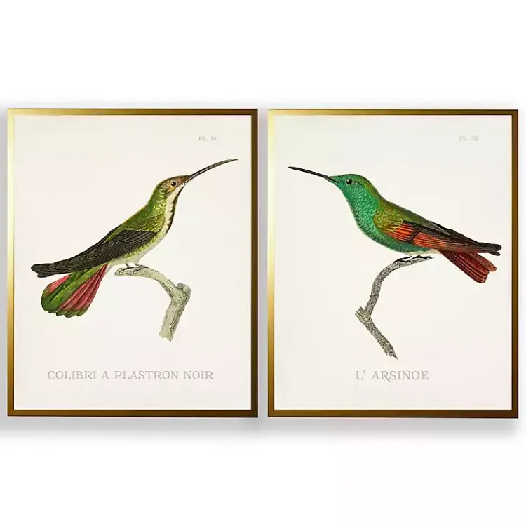 Framed Art-Kirklands Home Vintage Hummingbird I 2-pc. Framed Art Print Set