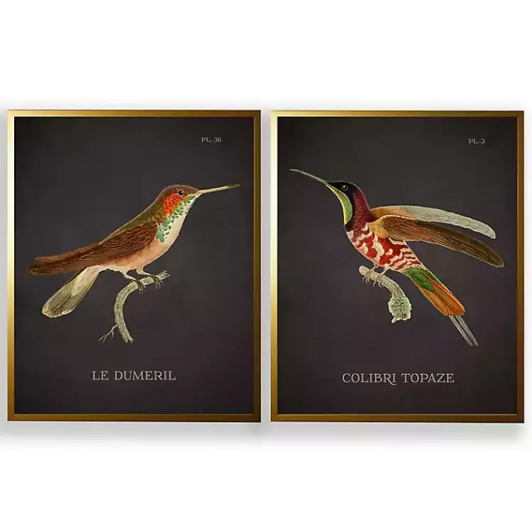 Framed Art-Kirklands Home Vintage Hummingbird III 2-pc. Framed Art Print Set