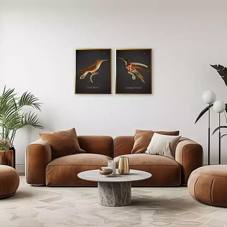 Framed Art-Kirklands Home Vintage Hummingbird III 2-pc. Framed Art Print Set