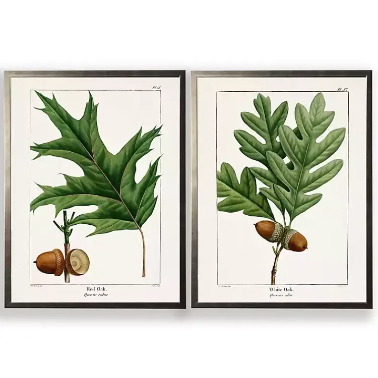 Framed Art-Kirklands Home Vintage Oak Leaves Framed Art Prints, Set of 2