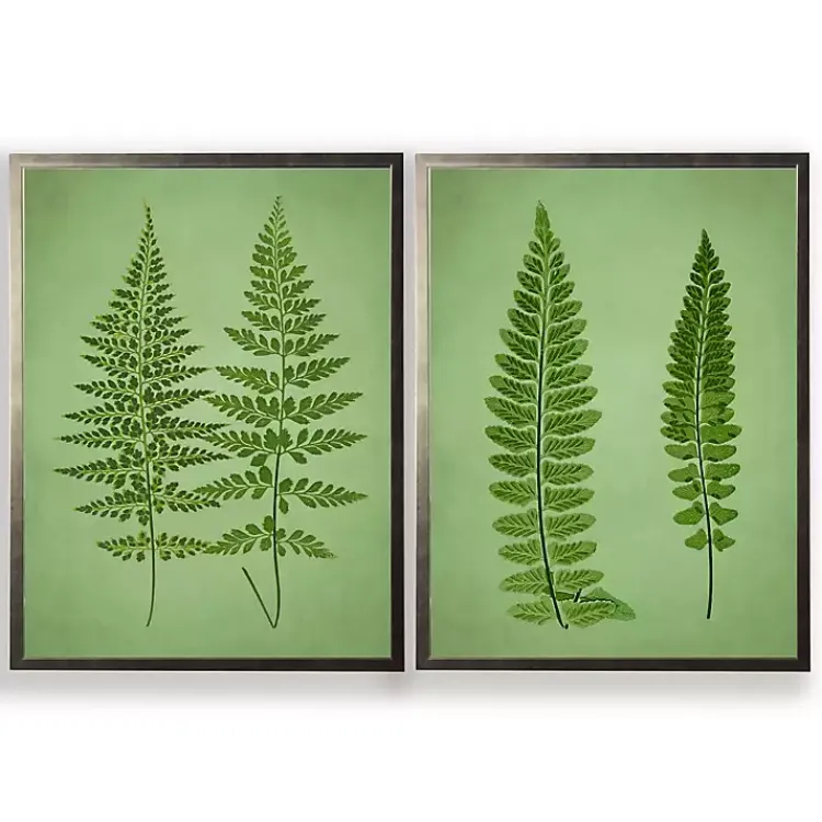 Framed Art-Kirklands Home Vintage Ferns I Framed Art Prints, Set of 2 Green