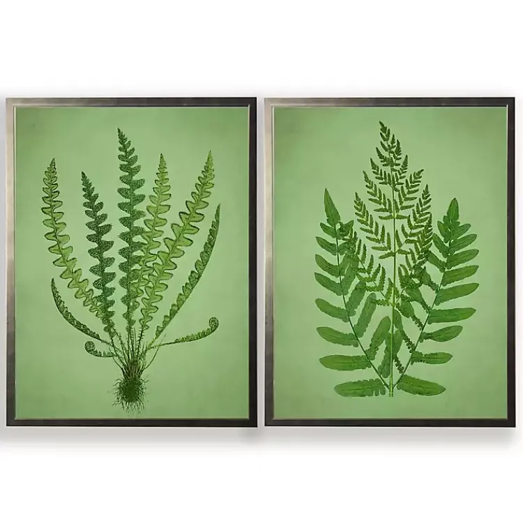 Framed Art-Kirklands Home Vintage Ferns II Framed Art Prints, Set of 2 Green