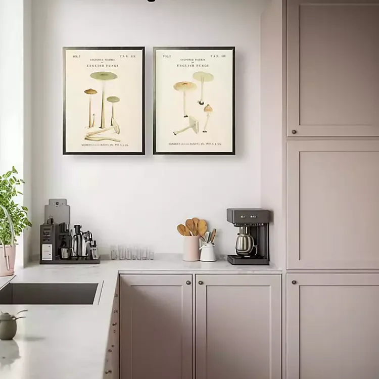 Framed Art-Kirklands Home Vintage Mushrooms I Framed Art Prints, Set of 2