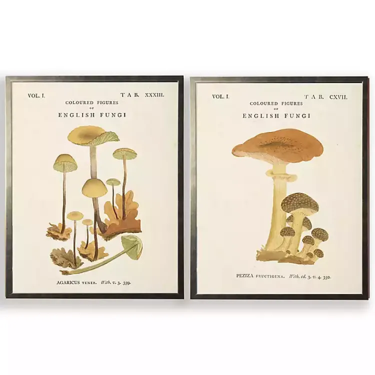 Framed Art-Kirklands Home Vintage Mushrooms II Framed Art Prints, Set of 2