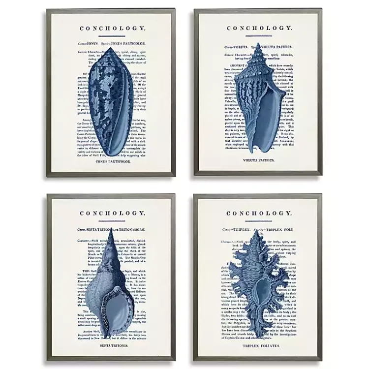Framed Art-Kirklands Home Vintage Blue Shells Framed Art Prints, Set of 4