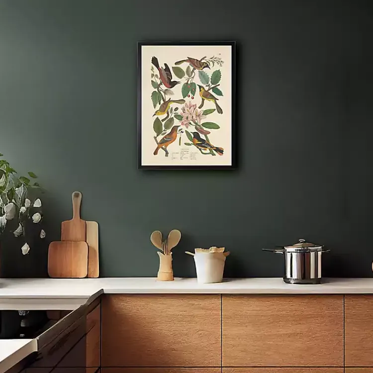 Framed Art-Kirklands Home Vintage Oriole Birds Framed Art Print