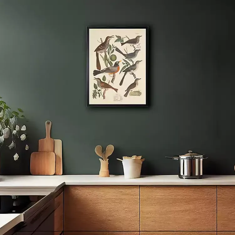 Framed Art-Kirklands Home Vintage Thrush Birds Framed Art Print