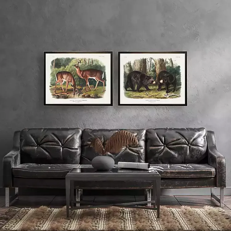 Framed Art-Kirklands Home Audubon Woodland Deer Framed Art Print