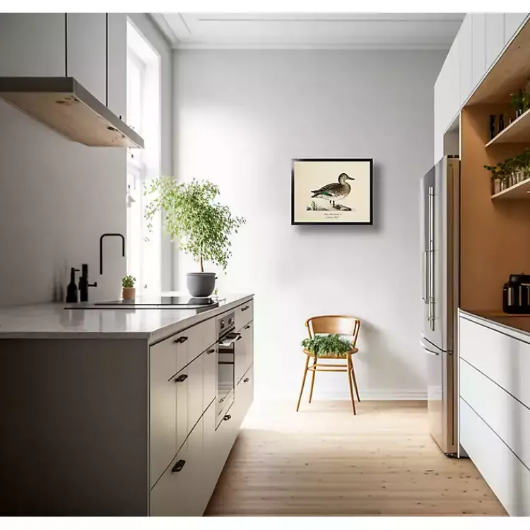 Framed Art-Kirklands Home Vintage Common Teal Duck Framed Art Print