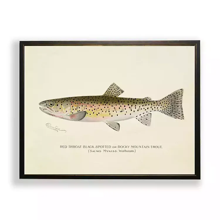 Framed Art-Kirklands Home Vintage Rocky Mountain Trout Framed Art Print