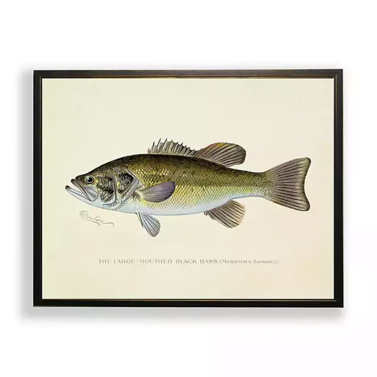 Framed Art-Kirklands Home Vintage Large Mouthed Bass Framed Art Print