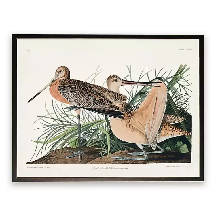 Framed Art-Kirklands Home Vintage Great Marbled Godwit Framed Art Print