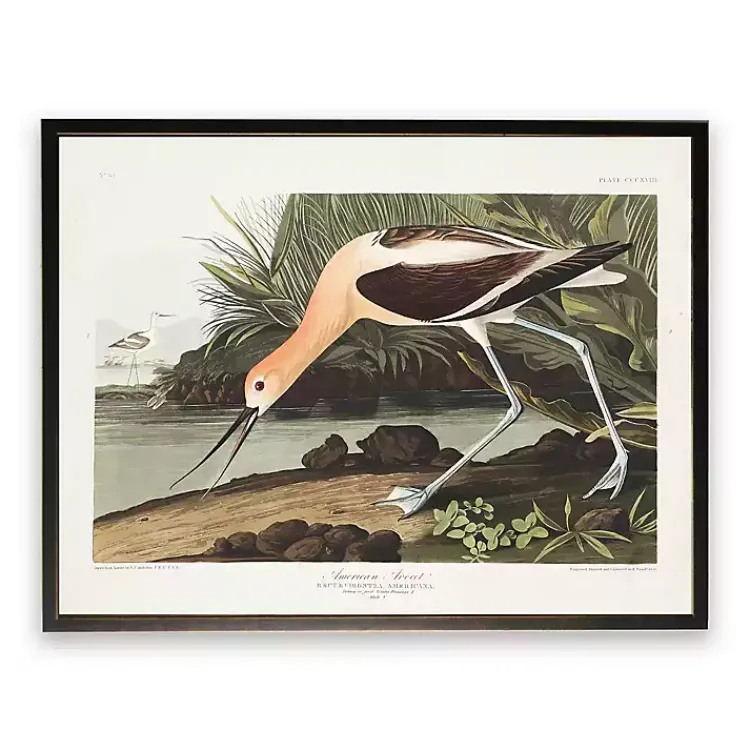 Framed Art-Kirklands Home Vintage American Avocet Bookplate Framed Art Print