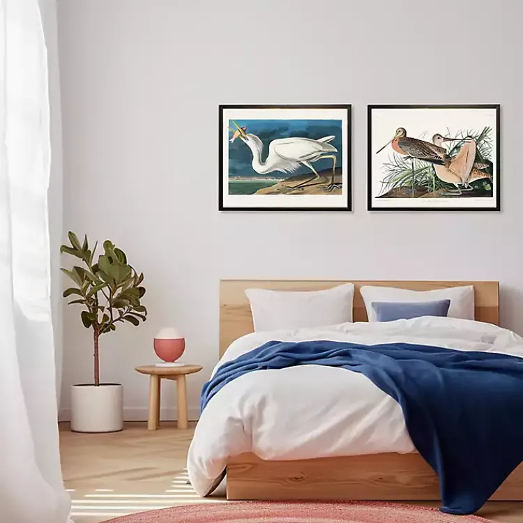 Framed Art-Kirklands Home Vintage White Pelican With Fish Framed Art Print