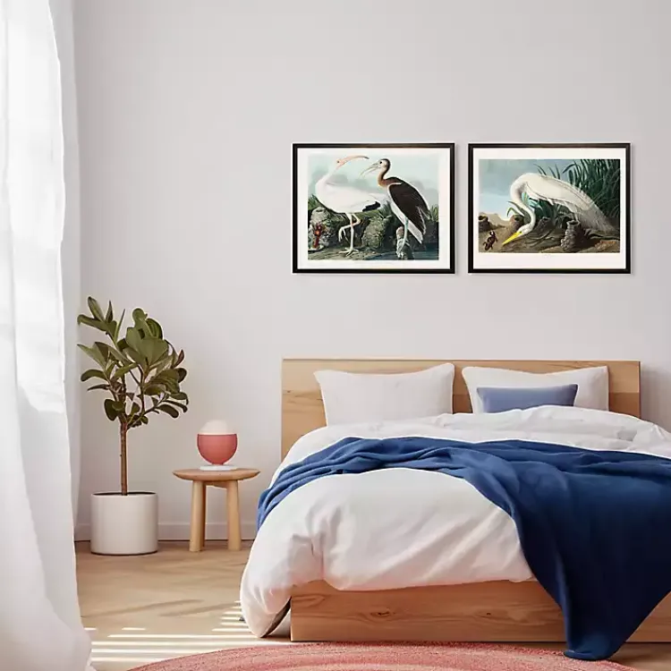 Framed Art-Kirklands Home Vintage White Ibis Pair Framed Art Print