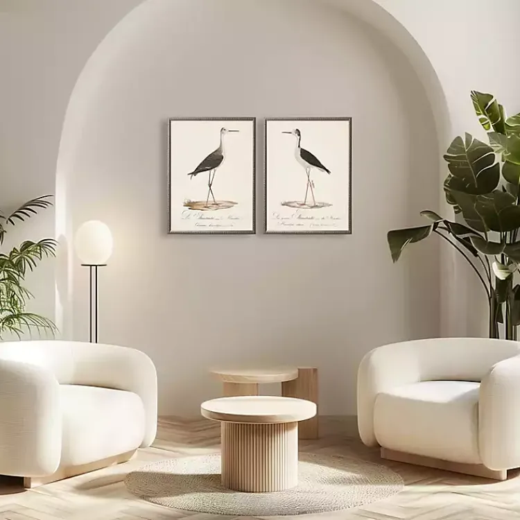 Framed Art-Kirklands Home Vintage Waterbird Facing Right Framed Art Print