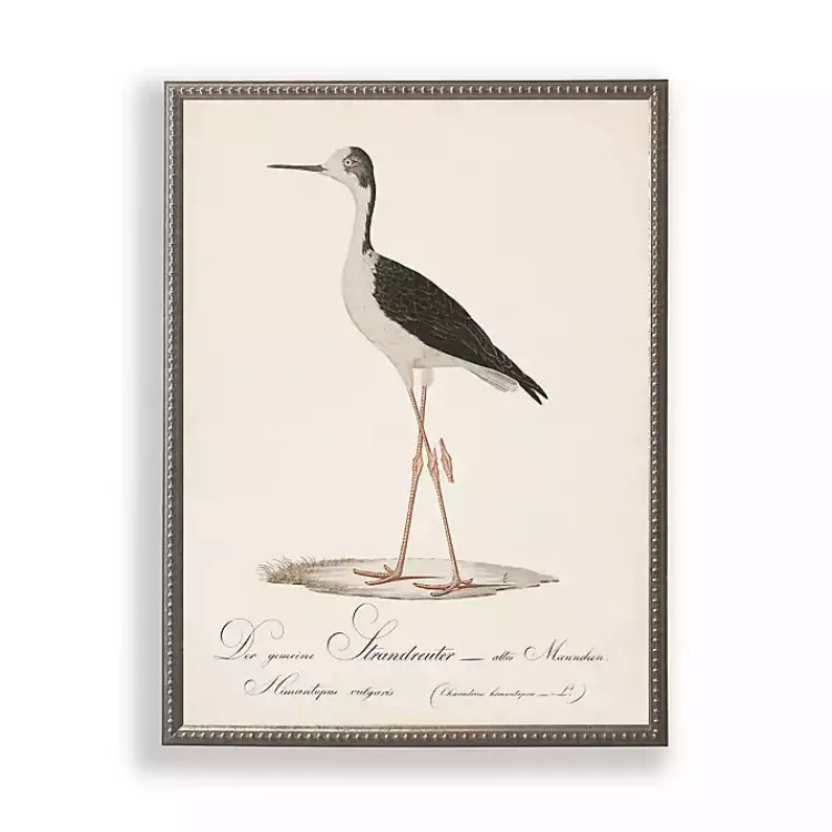 Framed Art-Kirklands Home Vintage Waterbird Facing Left Framed Art Print