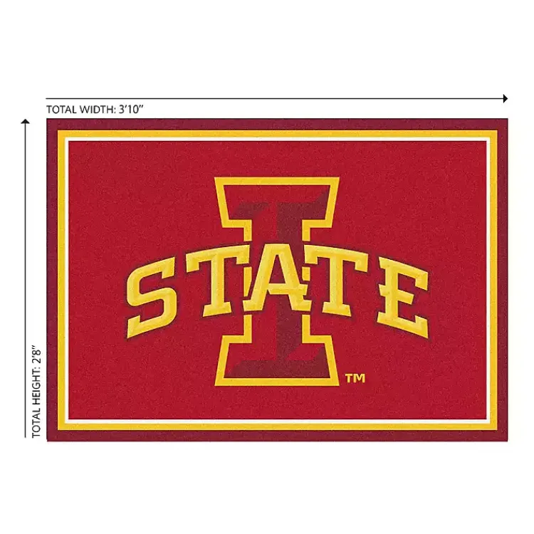 Area Rugs-Kirklands Home Iowa State University Area Rug, 3x4